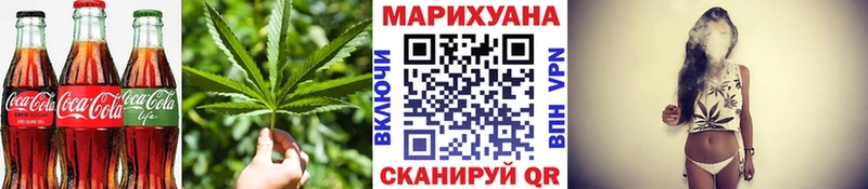 Купить закладки  Новая Ладога  Cannafood конопля 