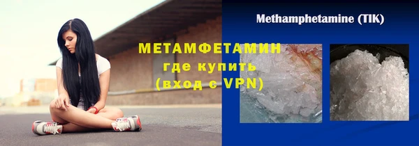 прущие грибы Бронницы