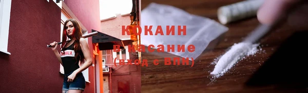прущие грибы Бронницы