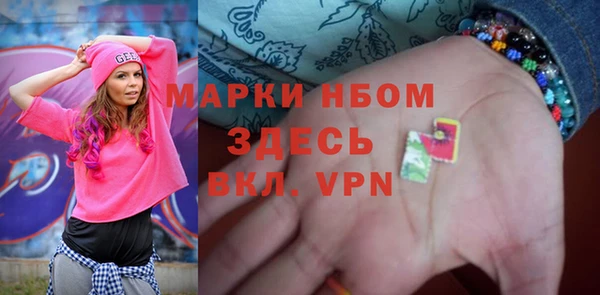 прущие грибы Бронницы